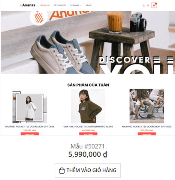 Website design services