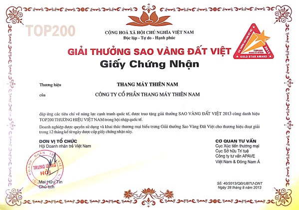 Sao Vang Dat Viet Award 2013