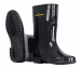 Woman Black Plastic Boots