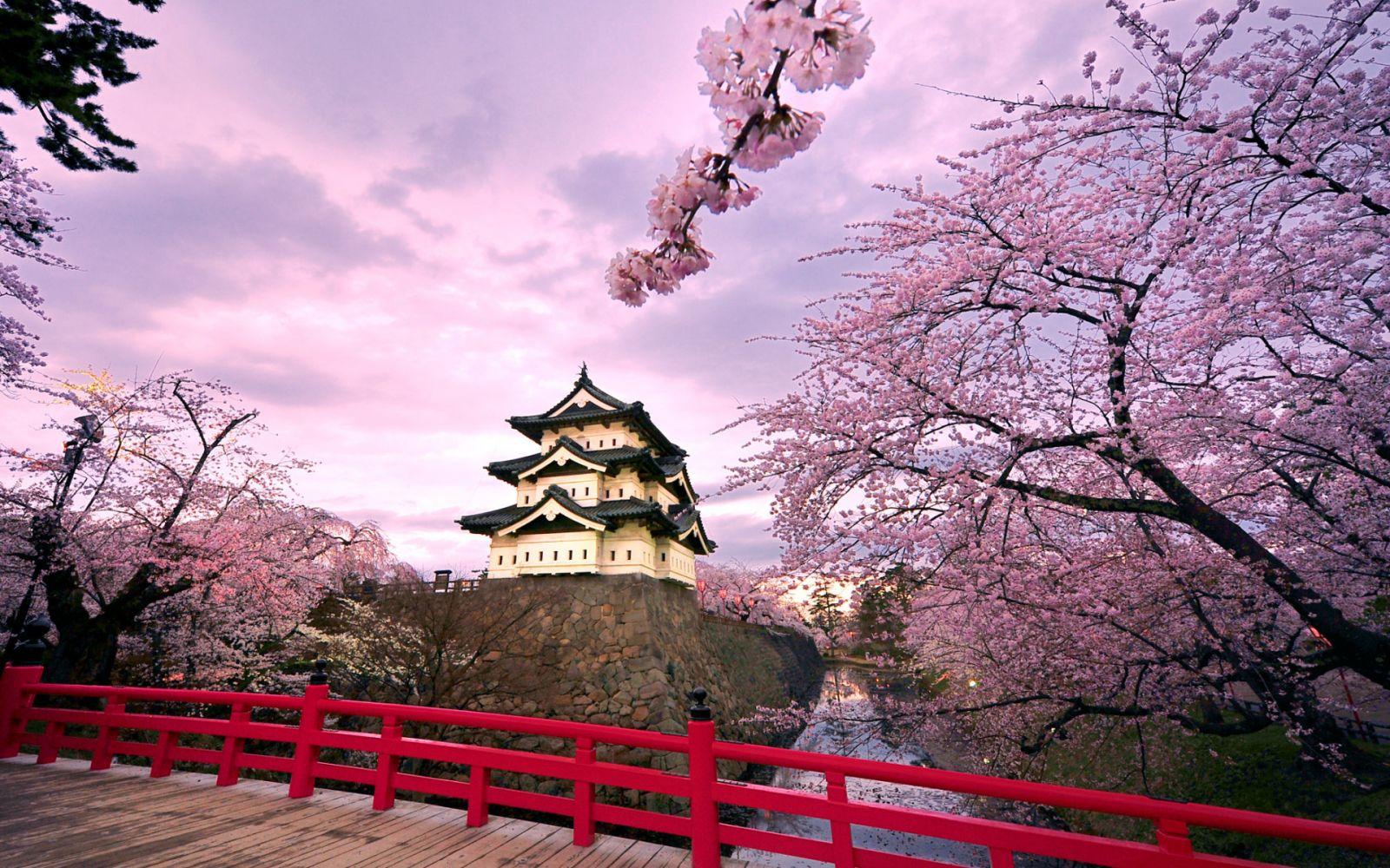 Korea Tour
