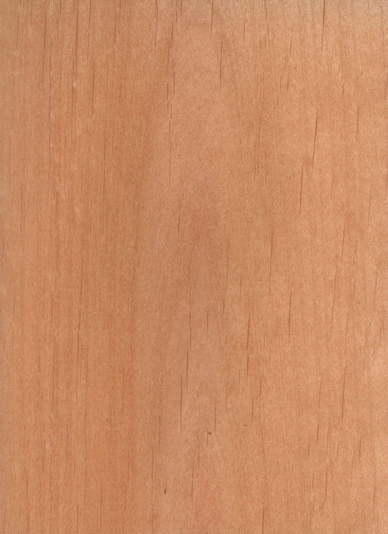 ALDER RED Plywood