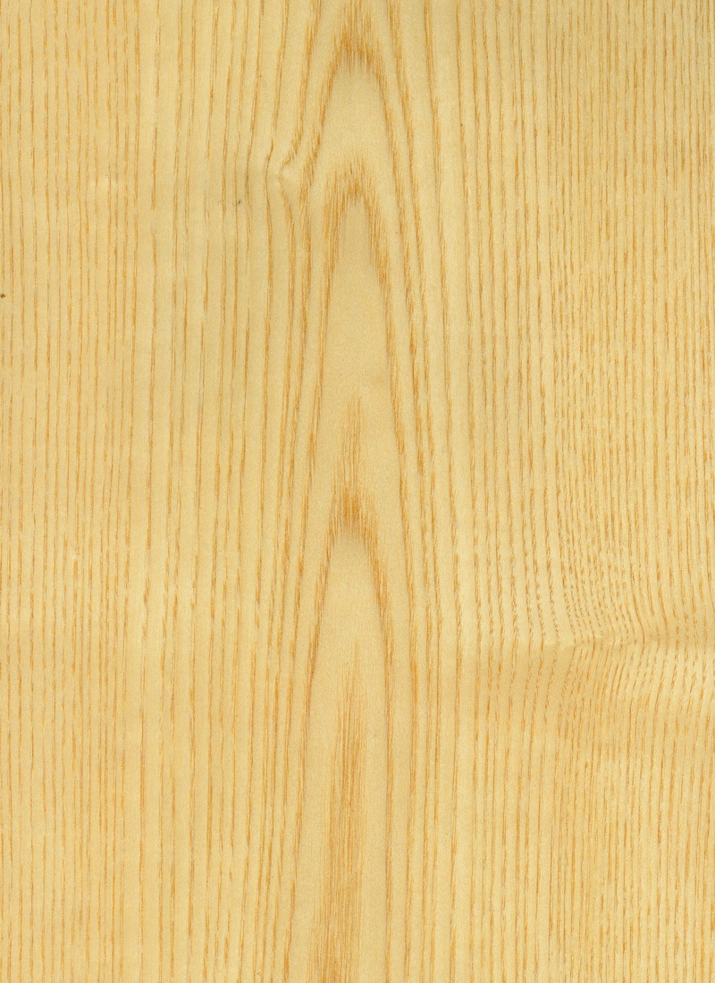 ASH AMERICAN Plywood