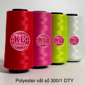 DTY 300/1