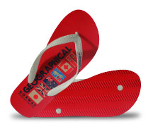 Flip Flop