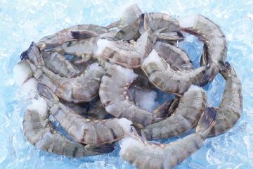 Black tiger shrimp