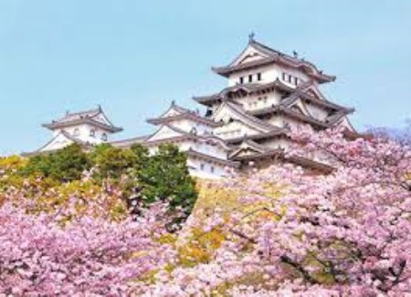 Japan tour