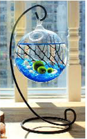 Fine Glass