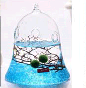 Fine Glass