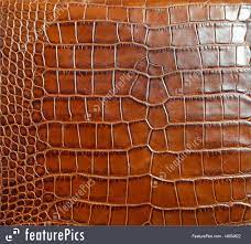 Crocodile Leather