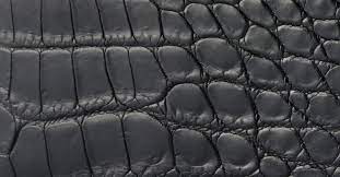 Crocodile Leather