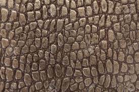Crocodile Leather