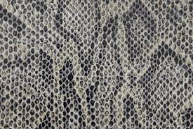 Snake Leather