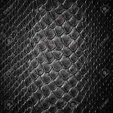 Snake Leather