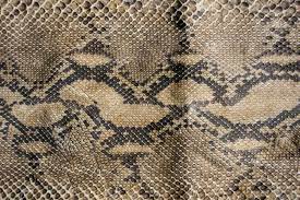 Snake Leather
