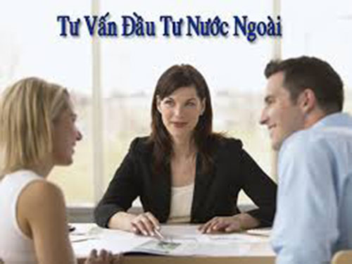 Foreign investment consulting