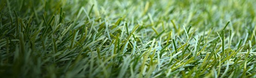 Artificial turf
