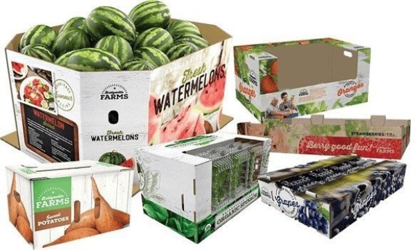 Paper packaging machinery