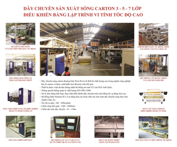 Paper packaging machinery