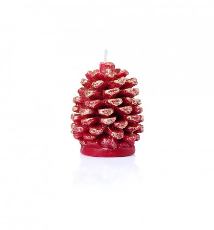 Pine fruit dÐcor candle