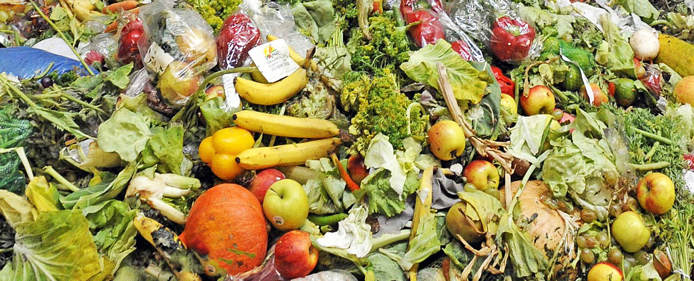 Domestic Waste Treatment