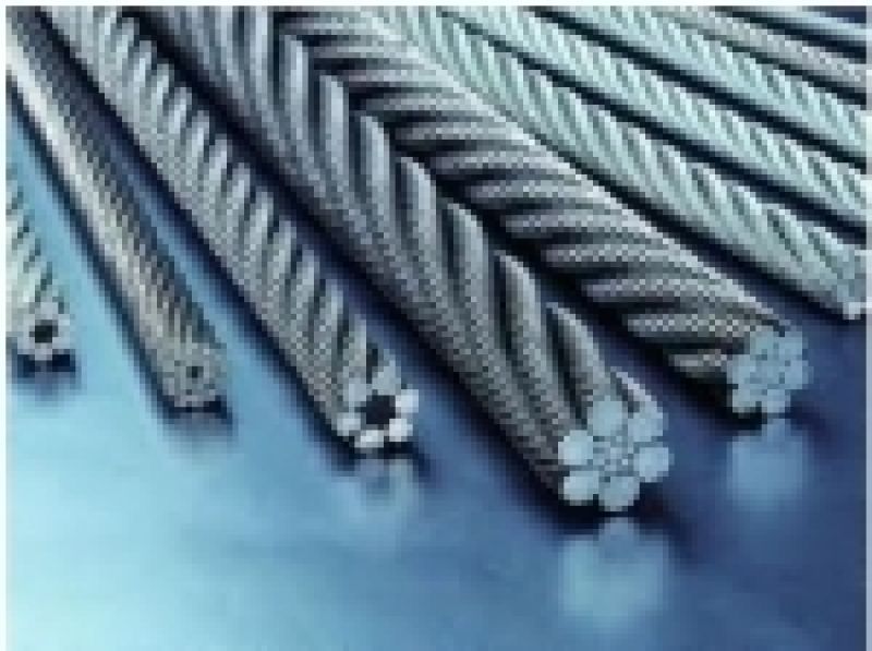 Steel wire rope