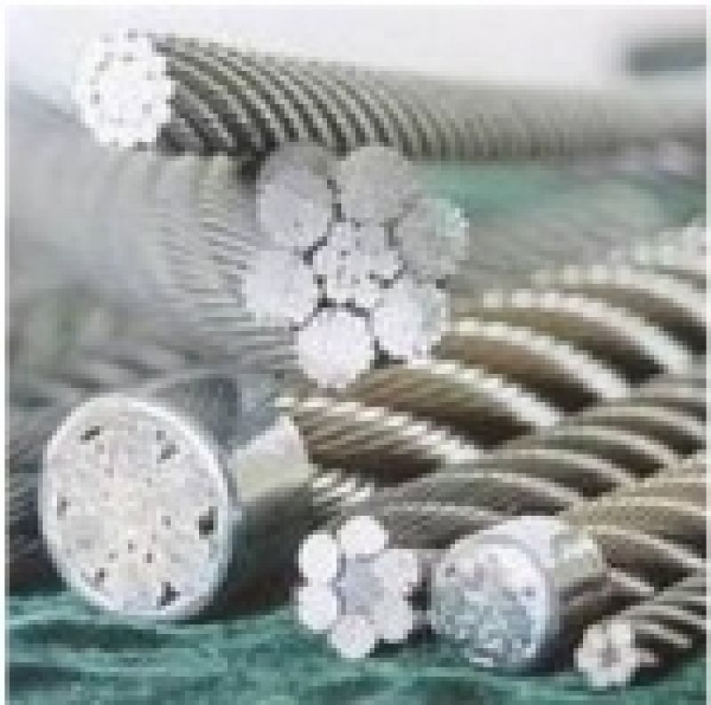 Steel wire rope