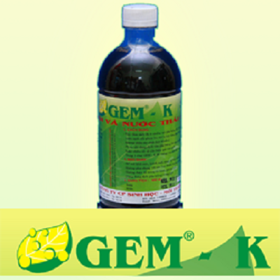 GEM-K