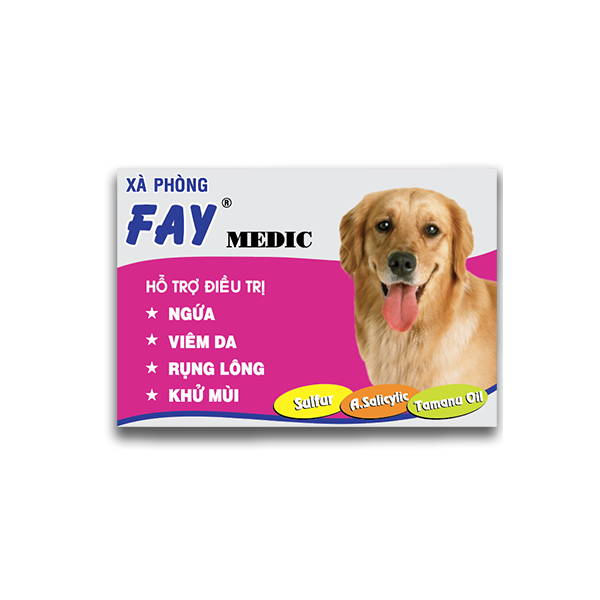 FAY medic soap