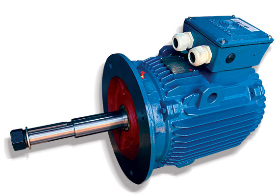 AC RPM synchronous PM motor