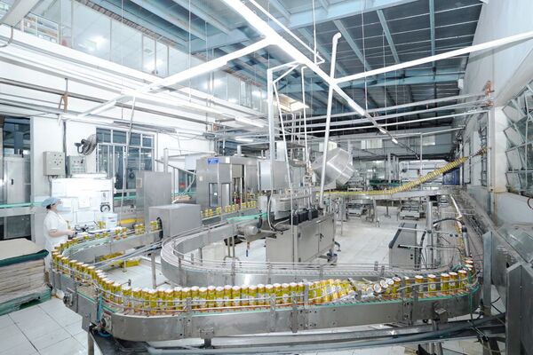Birds nest drink production line