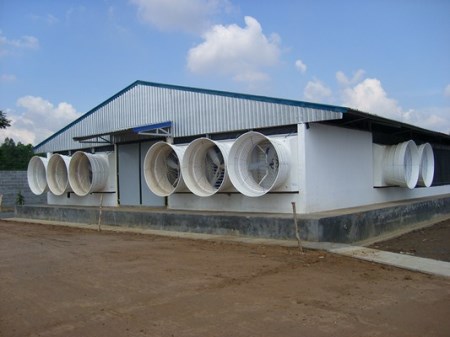 Ventilation system for chicken house