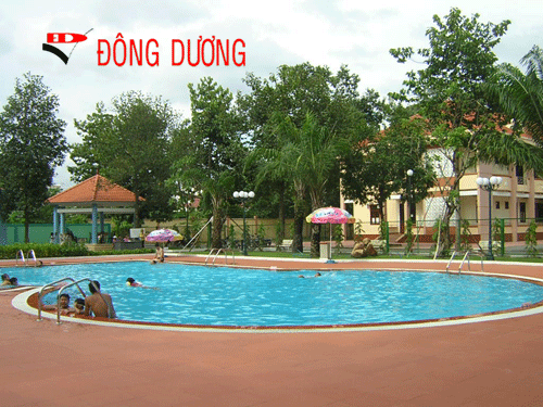 Pool Design