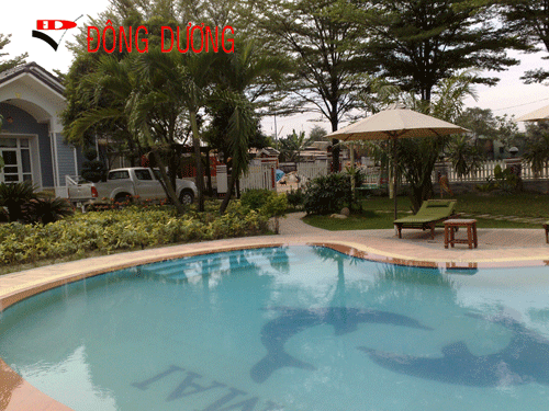 Pool Design