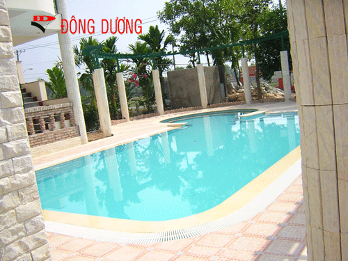 Pool Design