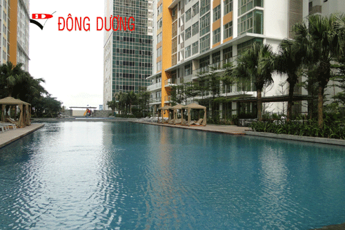 Pool Design