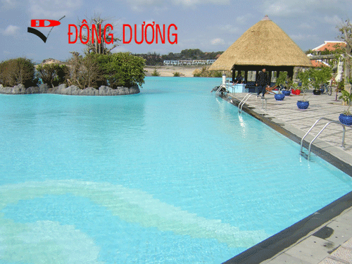 Pool Design