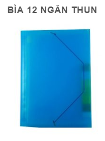12-Pocket Elastic Folder