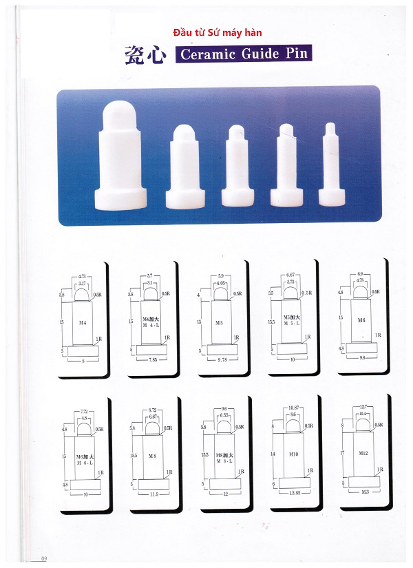 Ceramic guide pin