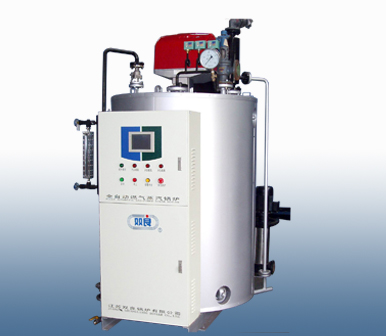 Gas boiler