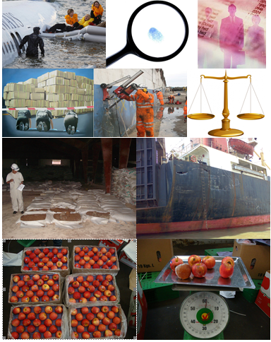 Ship and cargo inspection services