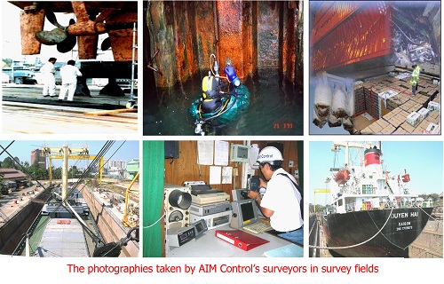 Ship condition inspection services
