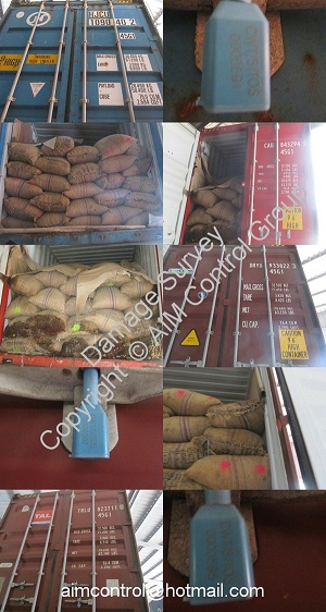 Products and containers inspection services