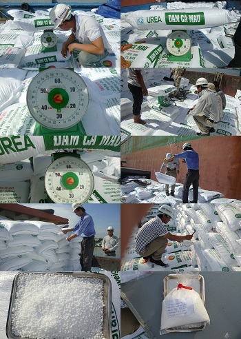 Inspection Services