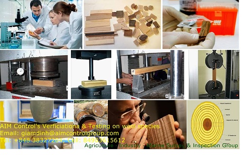 Goods Control Inspection Services