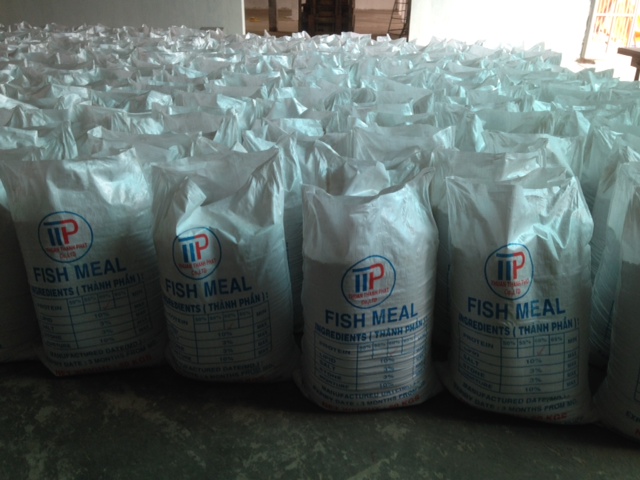 Fish meal