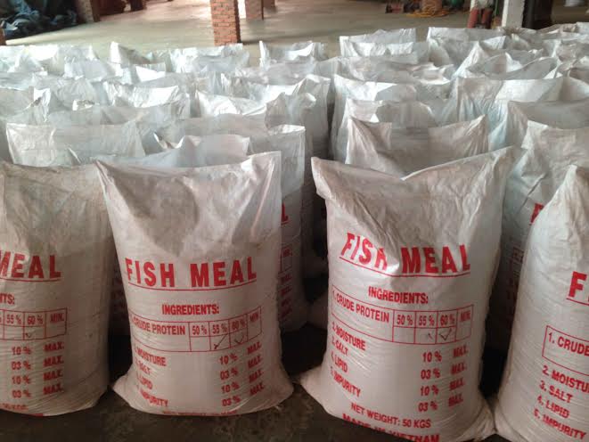 Fish meal