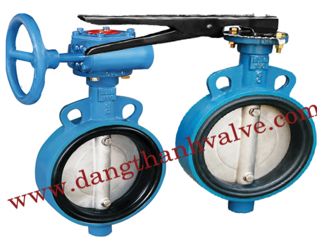 Butterfly Valve