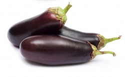 Fresh Vegetables