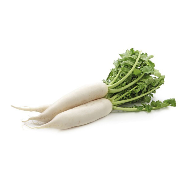 Fresh Vegetables