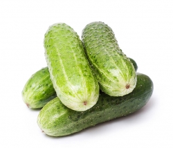 Fresh Vegetables